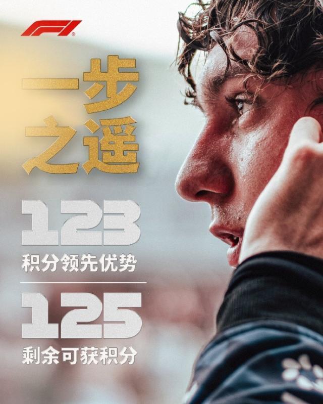 专业公海贵宾会服务