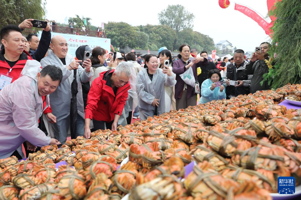 公海贵宾会详情图