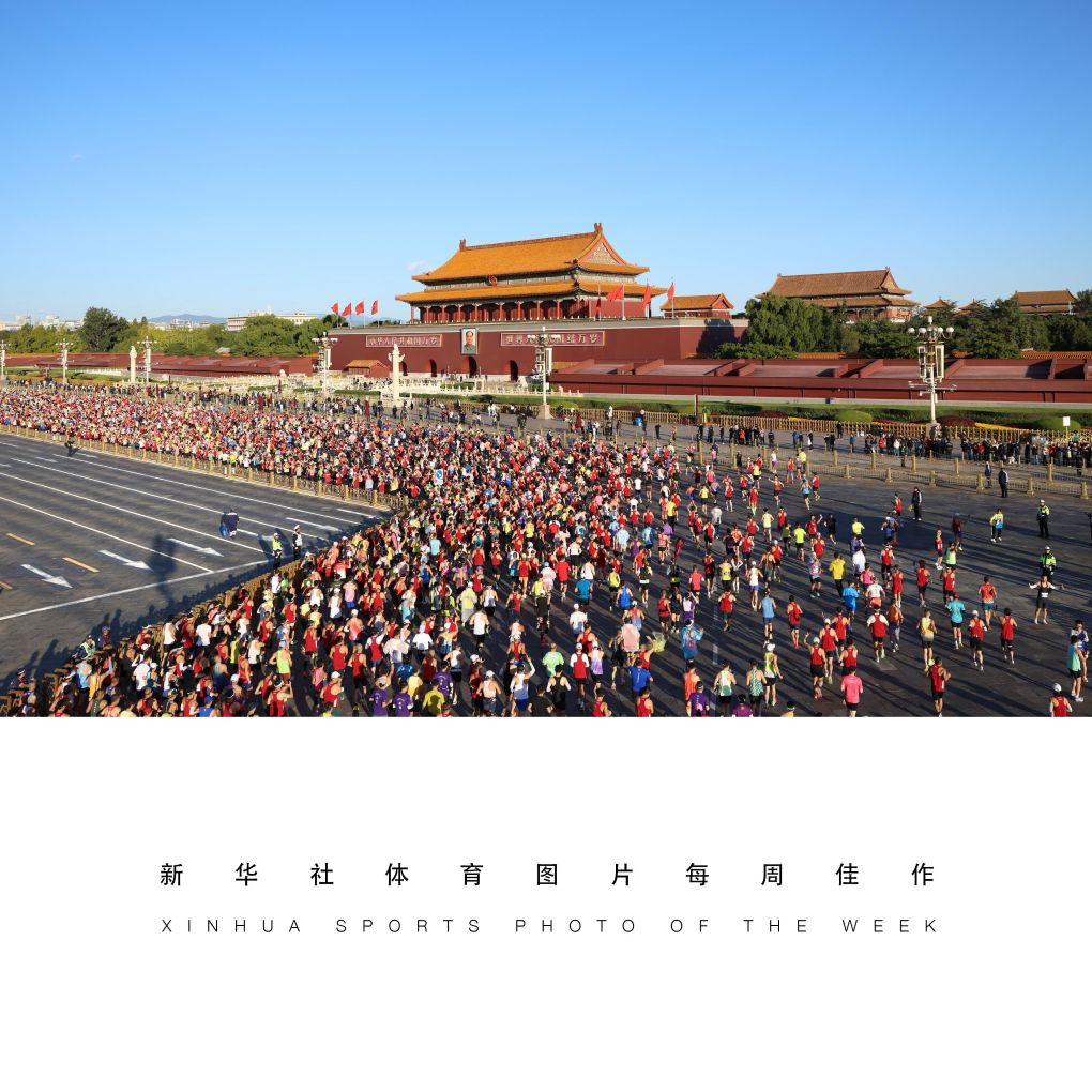 公海贵宾会展示图片